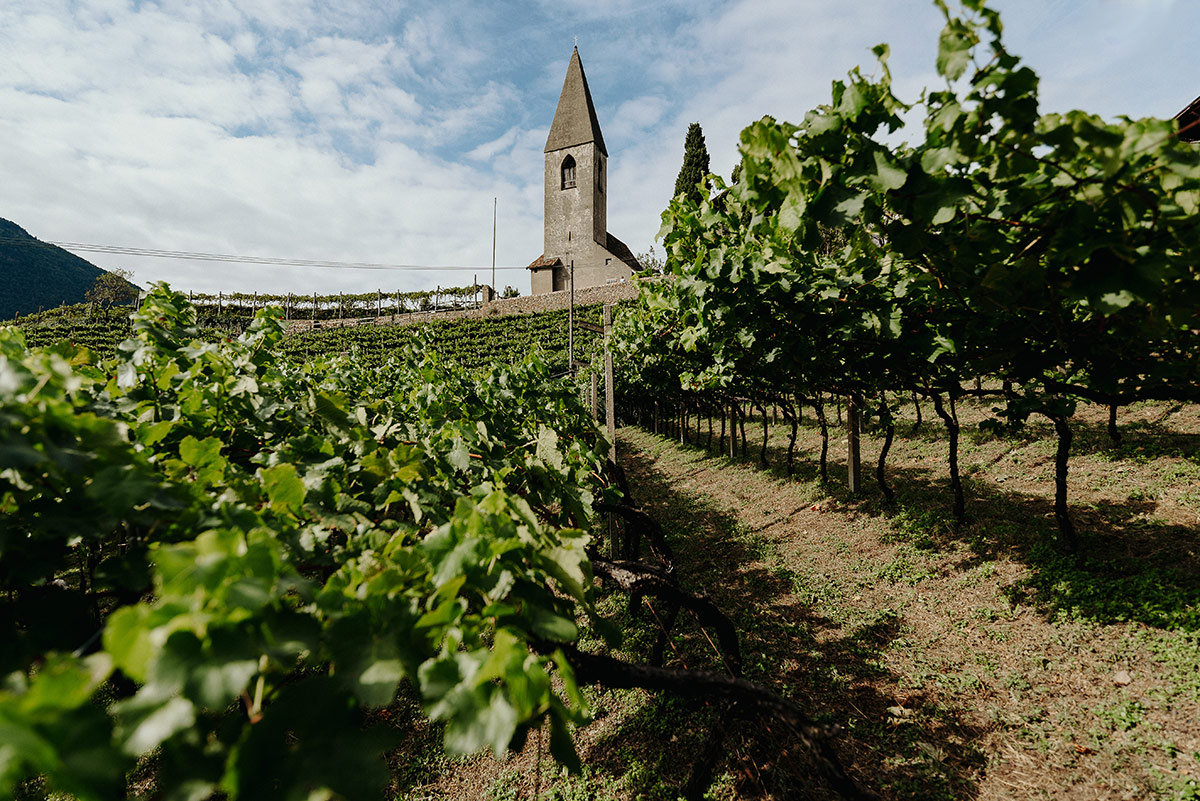 Azienda vinicola in Alto Adige