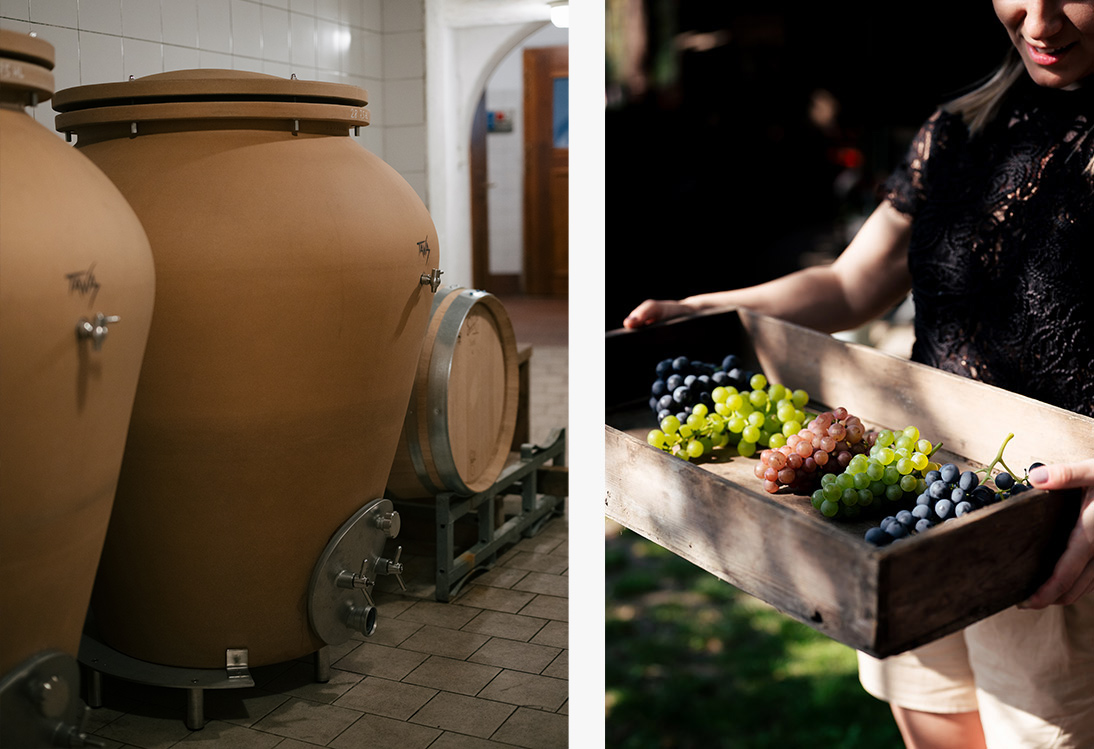 weinberge_mobile biodynamischer wein